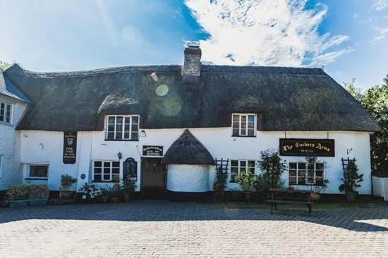 The Tuckers Arms，位于Dalwood的酒店