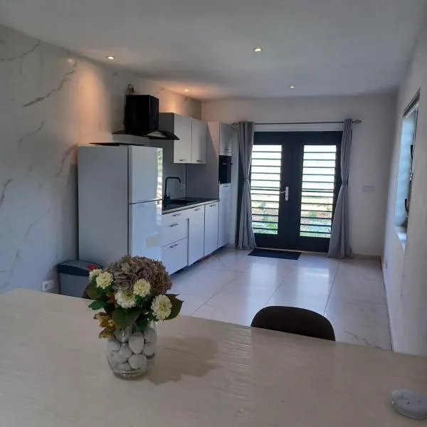 Flamingo Apartment - Regal Rentals Curacao，位于威廉斯塔德的酒店