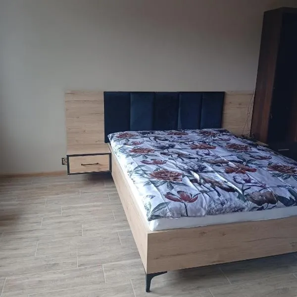 Boguszów，位于博古舒夫-戈尔采的酒店