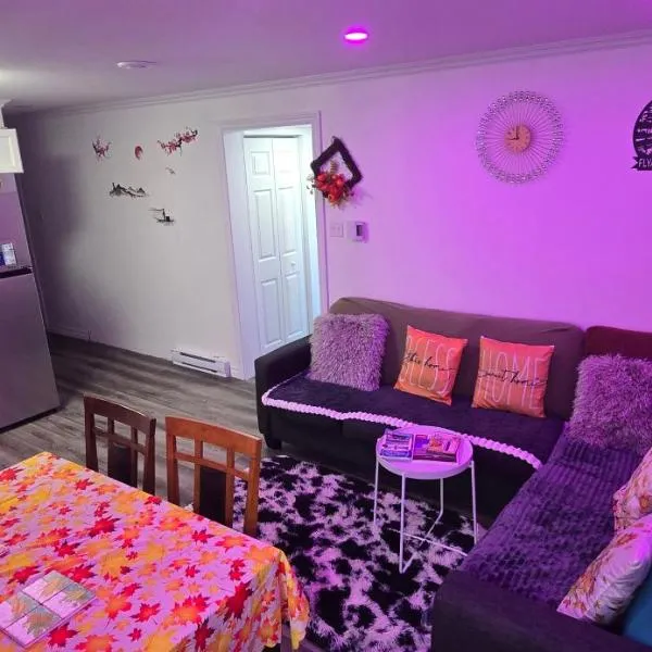 Flyaway Retreat 2 Bedroom Unit St John's NL，位于圣约翰斯的酒店