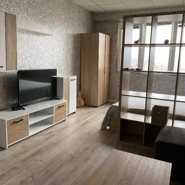 Панорама，位于帕纳久里什泰的酒店