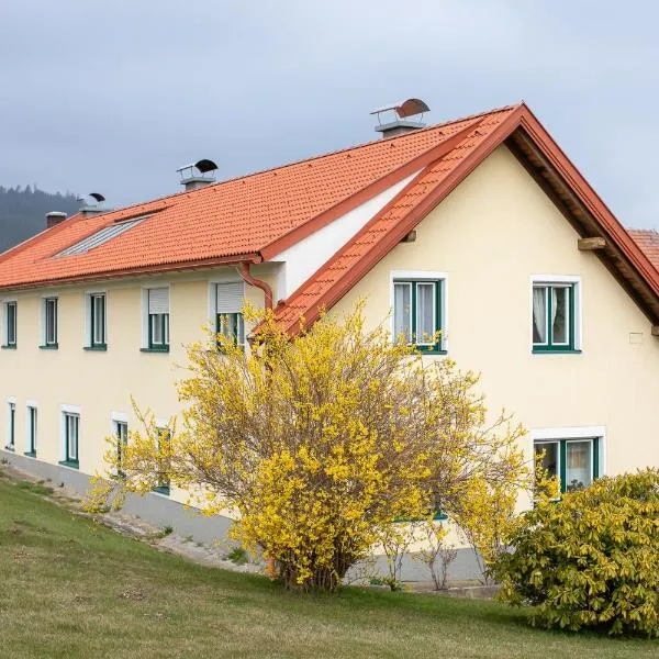 Feriennest Zehetbauer，位于Hollenthon的酒店