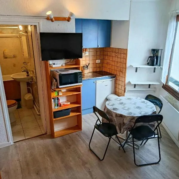 Charmant studio accès direct aux pistes et GR10, vue sur la vallée，位于阿雷特的酒店