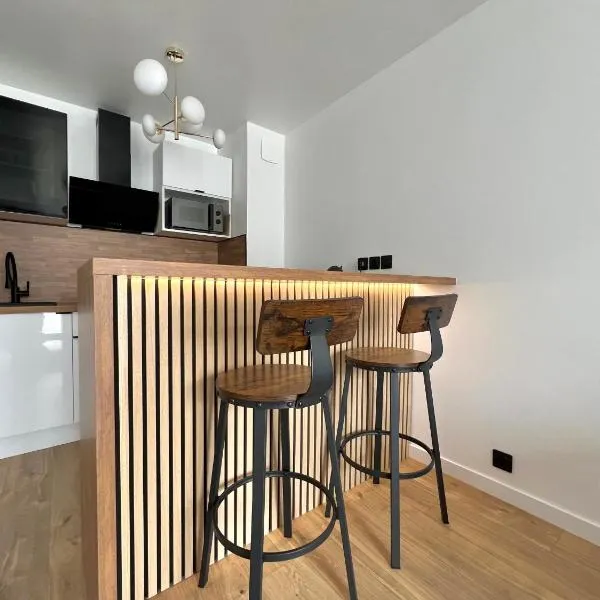 Appartement Vannes，位于瓦讷的酒店