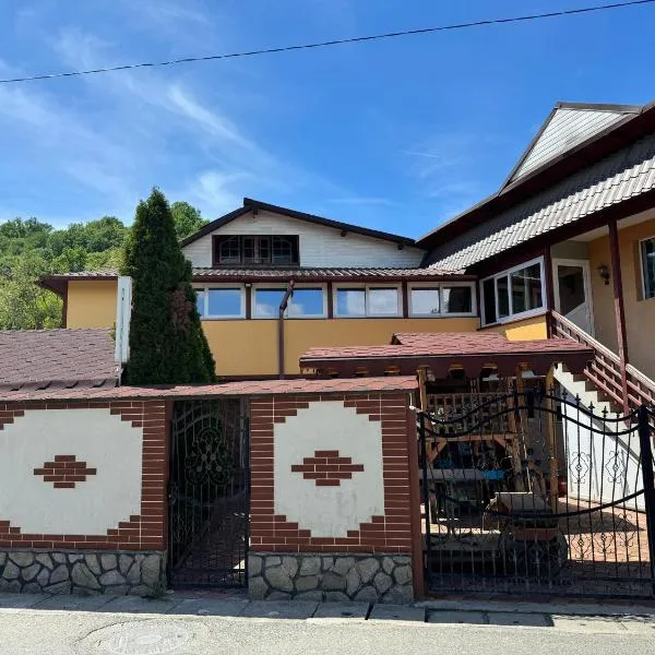 Pensiunea Leo si Georgiana，位于大盐矿镇的酒店
