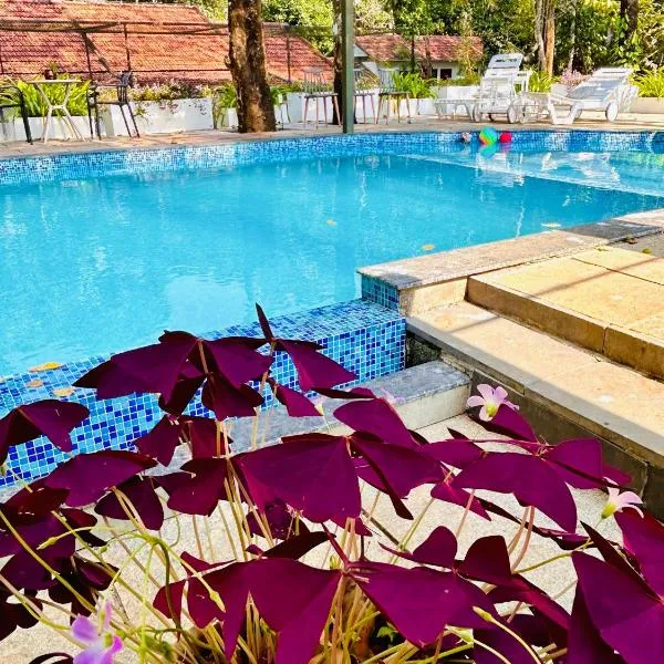 Drey at Druv Dakshin Farm Resort，位于Padinjarathara的酒店