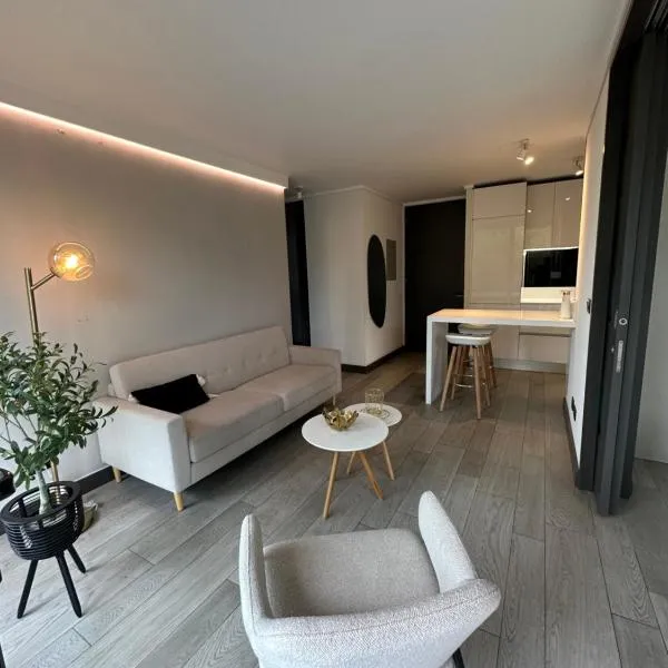 Elegante departamento，位于圣地亚哥的酒店