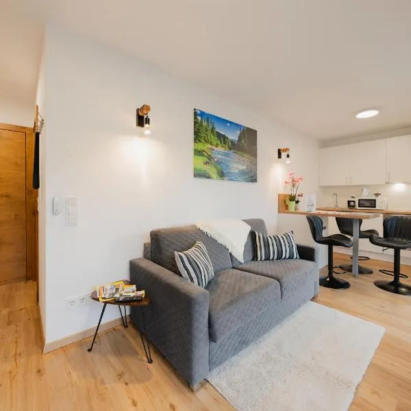 Austrian Apartments，位于巴德哥依斯恩的酒店