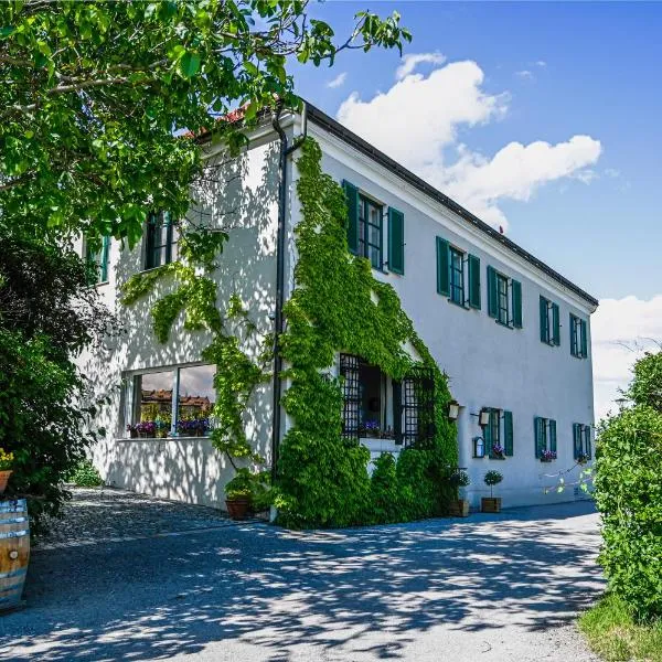 Gasthof Leindl，位于多瑙河畔克雷姆斯的酒店
