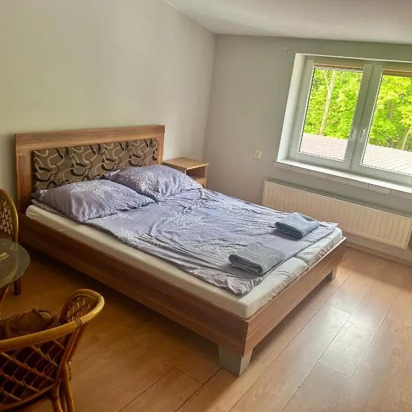 Zajazd Leśny Borysławice Kościelne，位于Borysławice Kościelne的酒店