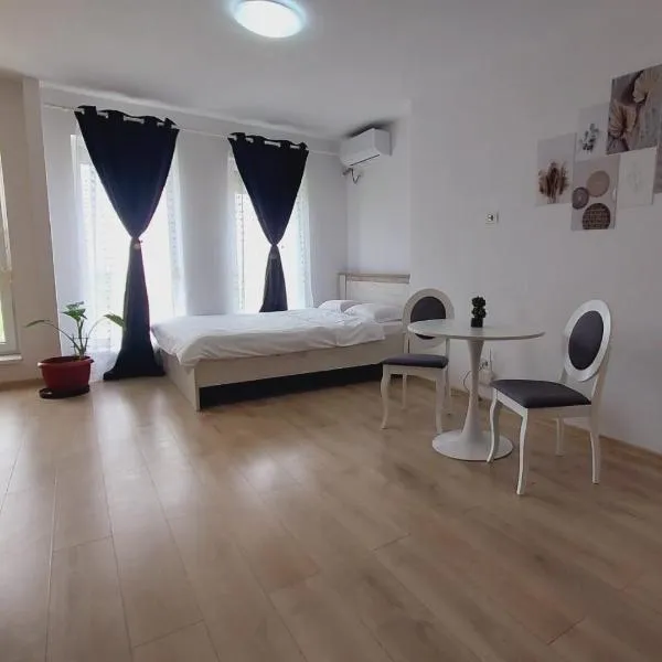 Garsoniera Studio，位于康斯坦察的酒店