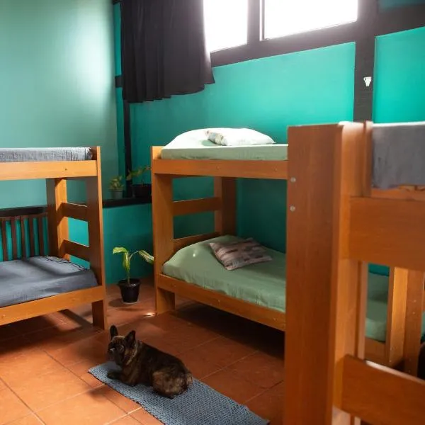 Hostel Casa Lion - Shared room，位于布希奥斯的酒店