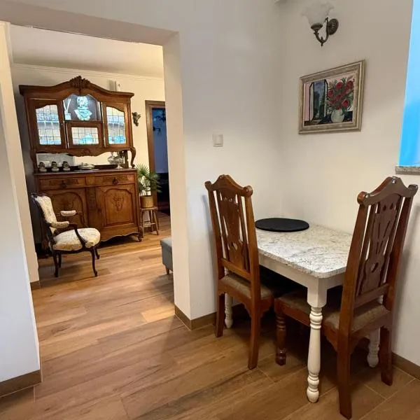 Apartament Antique Pruszków Centrum，位于普鲁什库夫的酒店