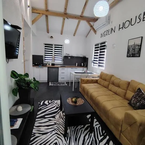 MERLIN House，位于弗尔尼亚奇卡矿泉镇的酒店