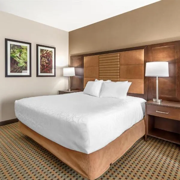 Best Western Plus Hinton Inn & Suites，位于欣顿的酒店