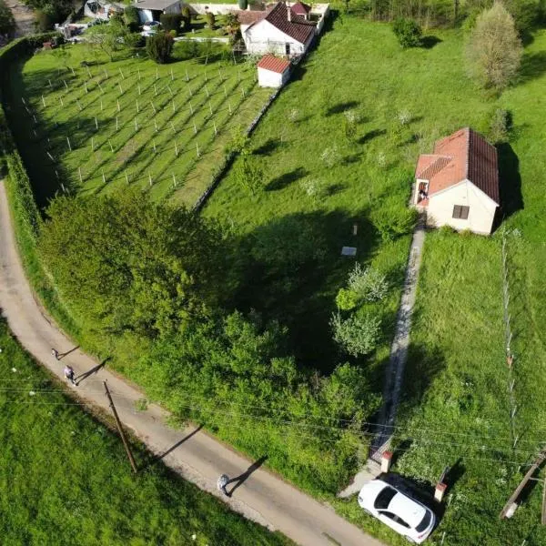 Green Little Cottage，位于Danilovgrad的酒店