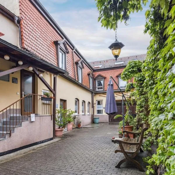 Hotel zum Erwin，位于卡尔斯鲁厄的酒店