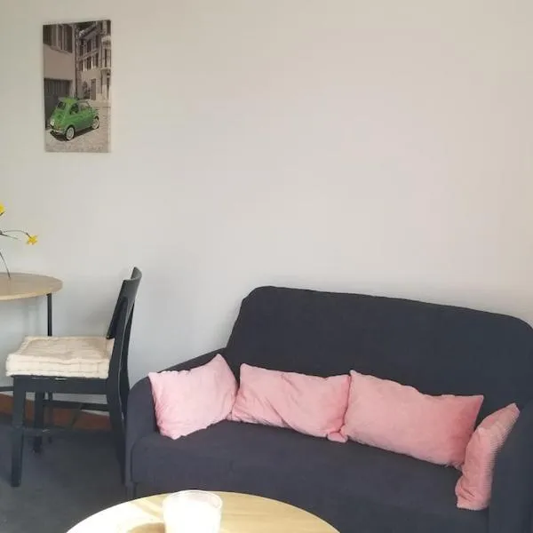 Appartement lumineux avec jardin à Amboise，位于阿姆博斯的酒店