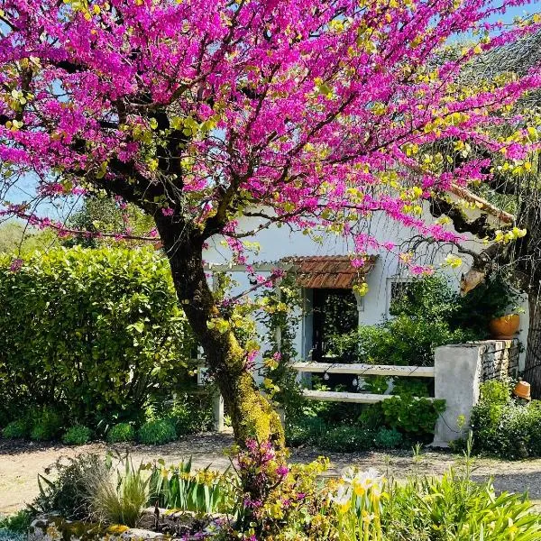 La Petite Maison，位于Corme-Écluse的酒店