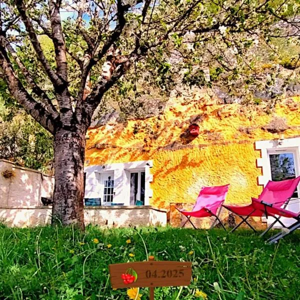Maison troglodytique au coeur des Châteaux de la Loire - Le Cerisier Perché，位于吕讷的酒店
