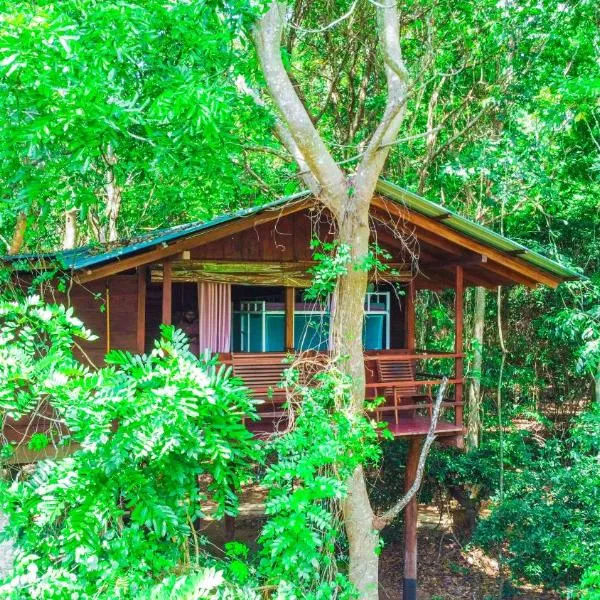 Jungle Host Hostel And Tree House，位于锡吉里亚的酒店