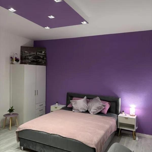 Apartman LILLY，位于帕拉钦的酒店