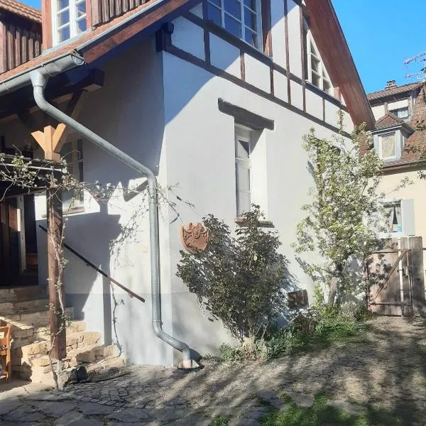 Idyllisches Häusle Teningen，位于坦英根的酒店