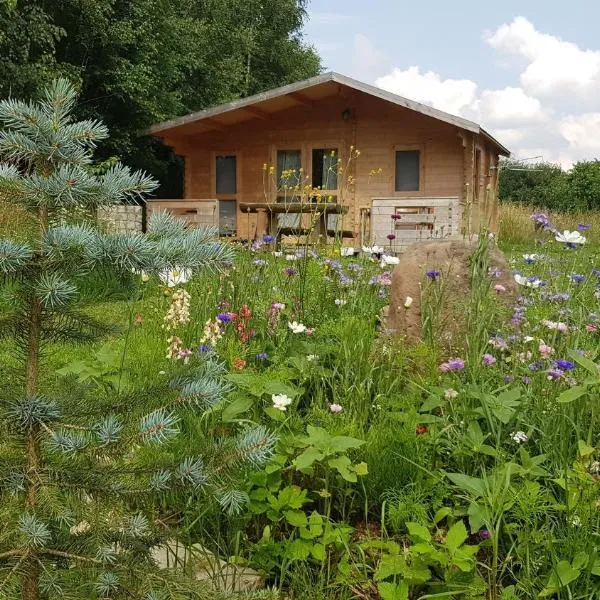 Domki pod Brzózkami，位于瓦姆比耶尔兹采的酒店