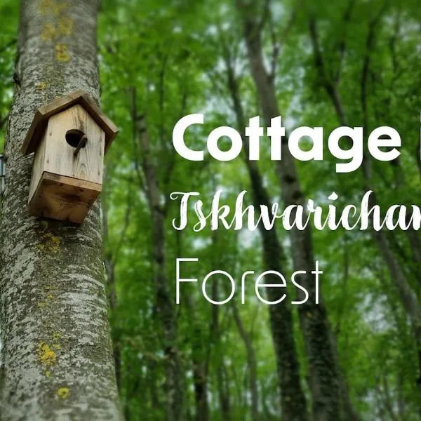 Cottage in Tskhvarichamia forest，位于姆茨赫塔的酒店