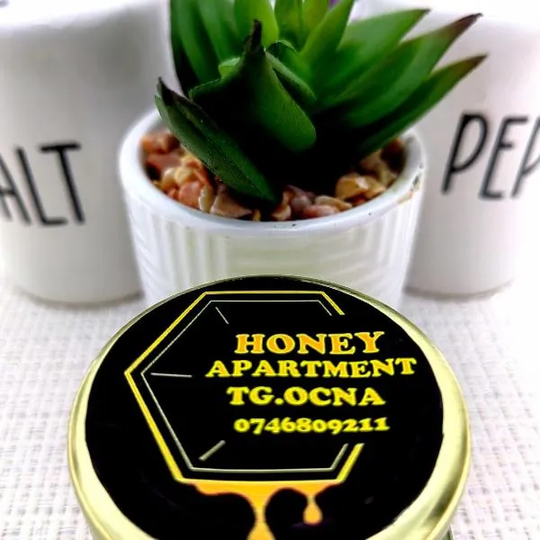 Honey apartment，位于特尔古奥克纳的酒店