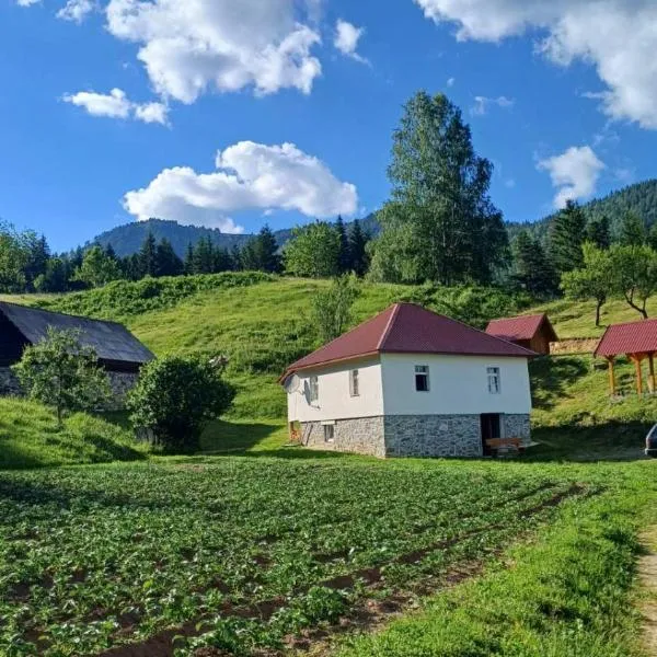 Seosko domaćinstvo Desin Do，位于贝拉内的酒店