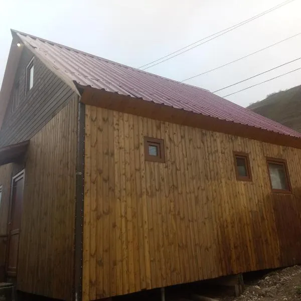 Wooden house in Adishi，位于Itʼkhvisi的酒店