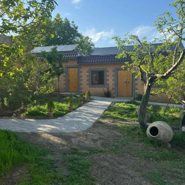 Stepanyans' Guest House，位于Areni的酒店