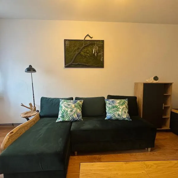 Apartament Zimowa 16，位于斯雷布纳古拉的酒店