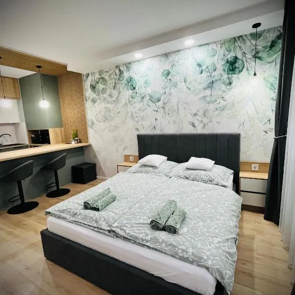 Sugo Studio Apartman，位于包姚的酒店