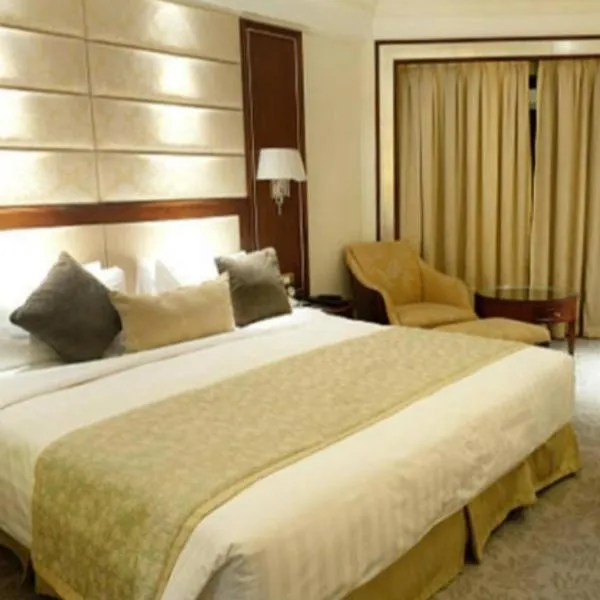 Hotel Star vel，位于新德里的酒店