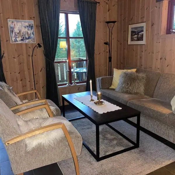 Adventurous cabin cozy on Sjusjøen with sauna!，位于斯朱森的酒店