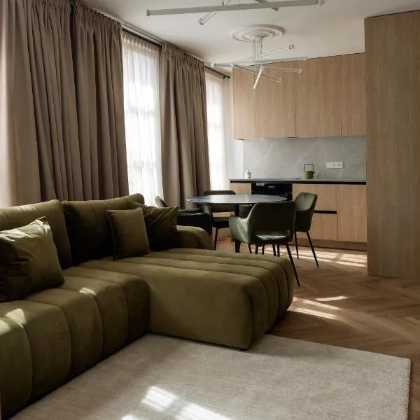 Modern Luxury Apartment in Old Town，位于克莱佩达的酒店