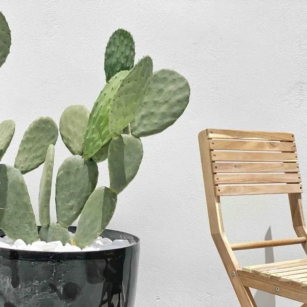 Bamboo House Syros No1，位于埃尔莫波利斯的酒店