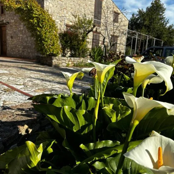 Agriturismo Santa Venera，位于波利齐杰内罗萨的酒店