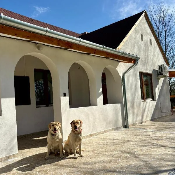 Sárffy Vendégház，位于Szőce的酒店