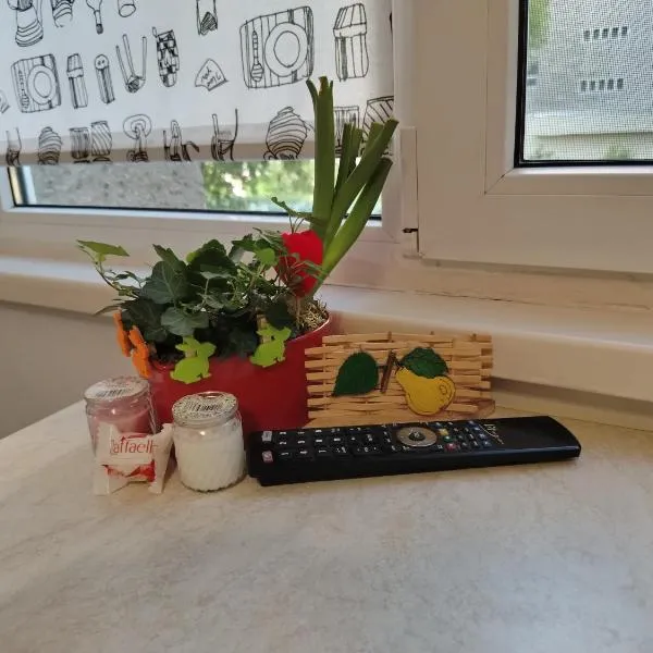 MGI studio CORESI & parking，位于布拉索夫的酒店