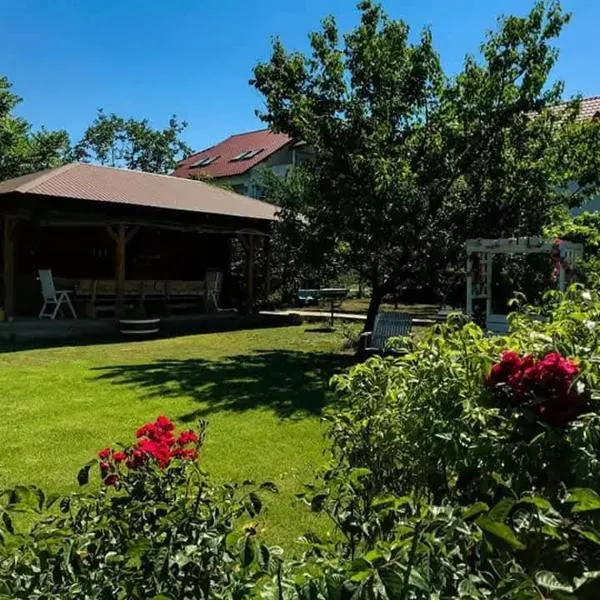Casa de vacanță Ana și Ștefan，位于多亚马伊的酒店