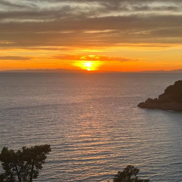 VILLA ROSA CON SPLENDIDA VISTA MARE，位于博纳索拉的酒店