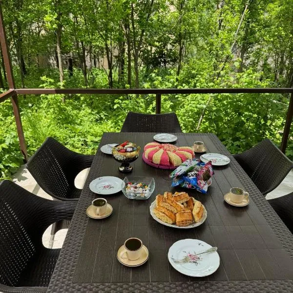Дом на улице Овсепяна 7，位于迪利然的酒店