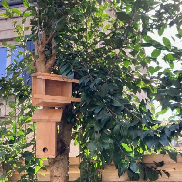 Chambre dans un appartement avec jardin，位于波尔多的酒店
