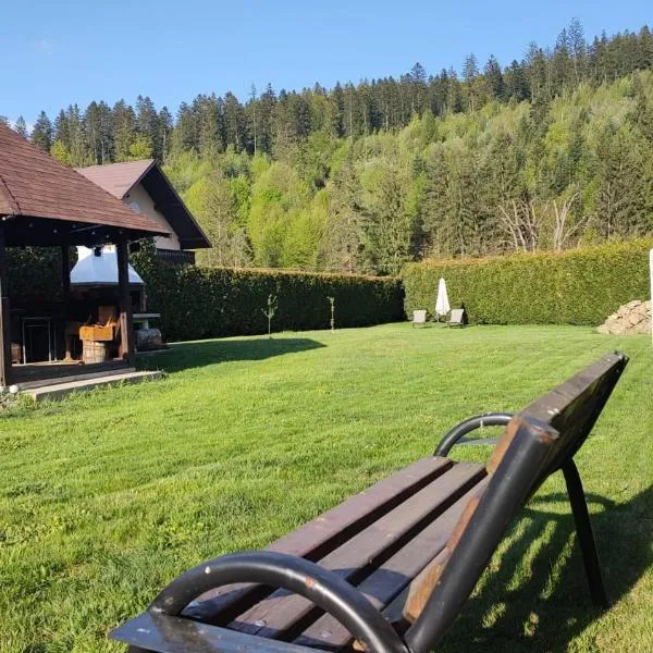 Forest View Cottage，位于Voroneţ的酒店