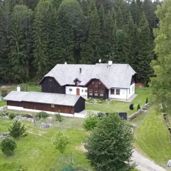 Hájovna u Jindřicha，位于诺瓦佩奇的酒店