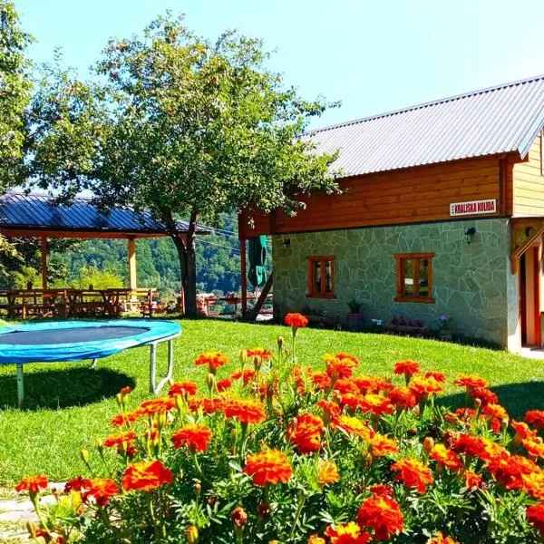 Kraljska koliba - Kralje's Cottage，位于Andrijevica的酒店