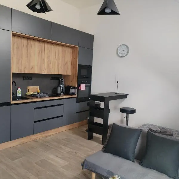 Vicemilice byt，位于维什科夫的酒店